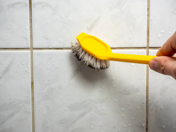 Mold Testing and Removal in Fennville, MI