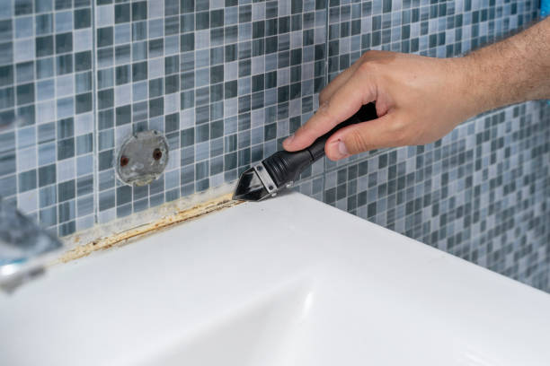Best Local Mold Removal Service  in Fennville, MI