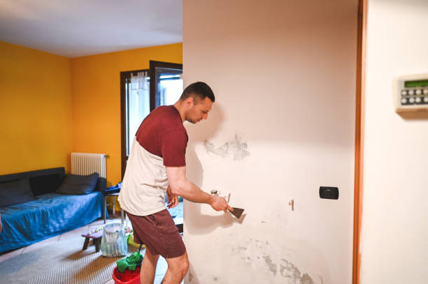 Best Emergency Mold Removal  in Fennville, MI
